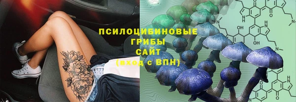 спиды Нефтегорск