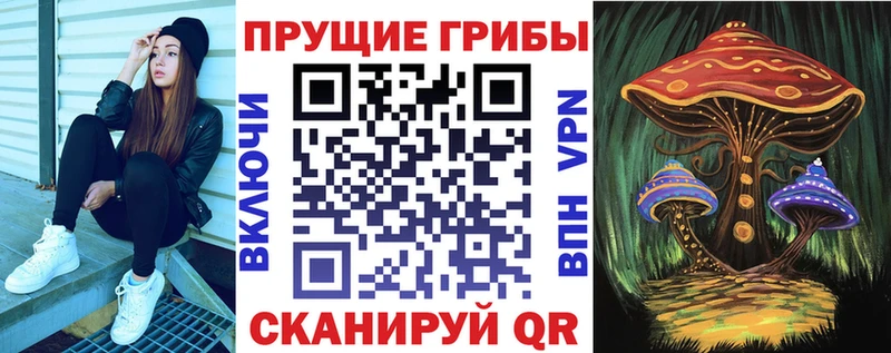 Псилоцибиновые грибы Cubensis  Купить  Сургут 